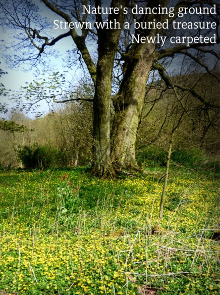 Nature's dancing ground Strewn with a buried treasure Newly carpeted