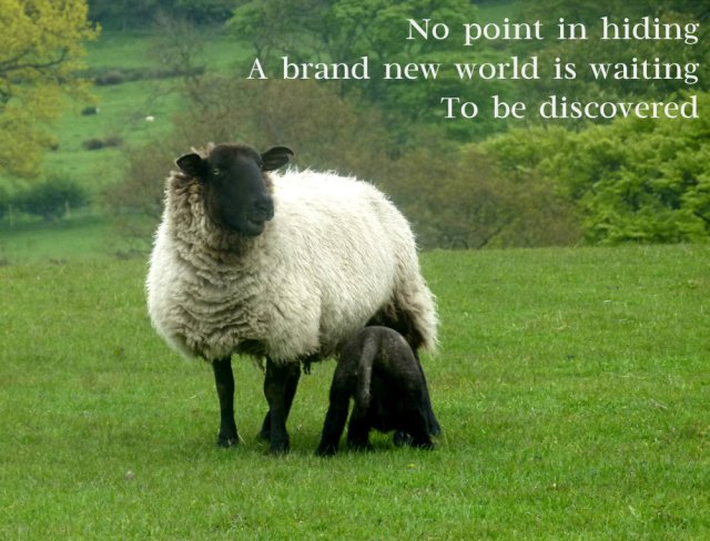 No point in hiding A brand new world is waiting To be discovered