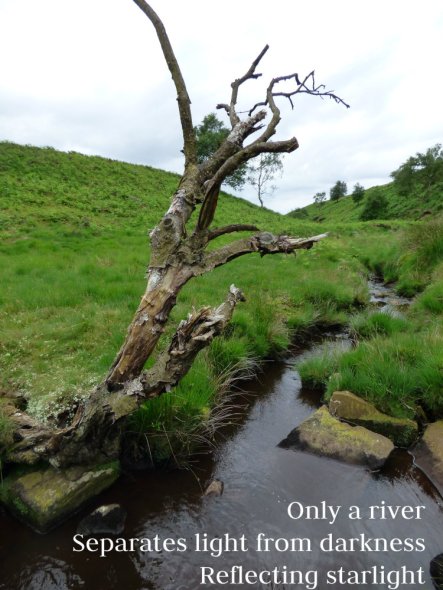 Only a river Separates light from darkness Reflecting starlight