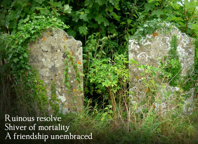 Ruinous resolve Shiver of mortality A friendship unembraced