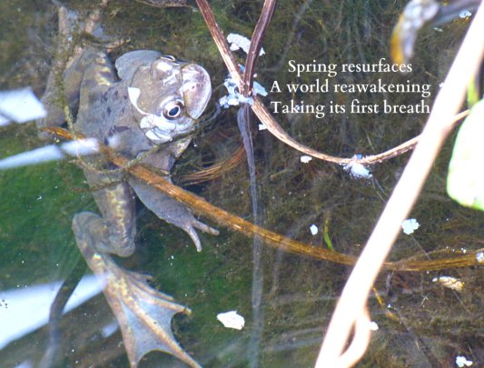 spring resurfaces, a world reawakening takes its first breath