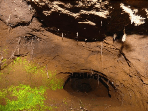 tunnel-underground-by-sue-vincent