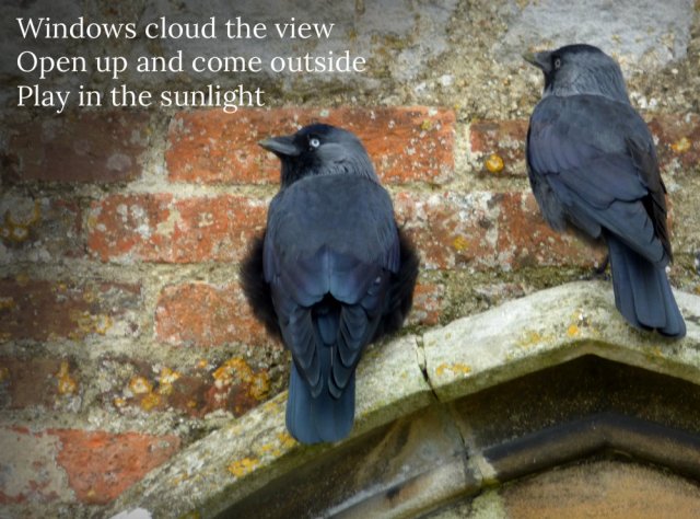 Windows cloud the view Open up and come outside Play in the sunlight