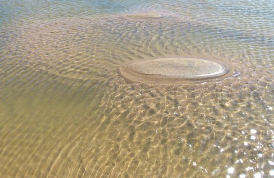 sand islands in the sea