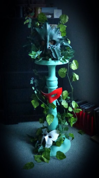 imbolc fox weekend 0071