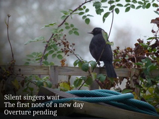 Silent singers wait The first note of a new day Overture pending