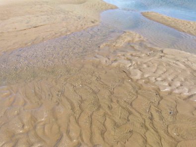 sand rippling with the tides