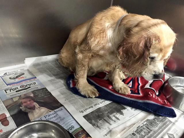 Cindy's been rescued