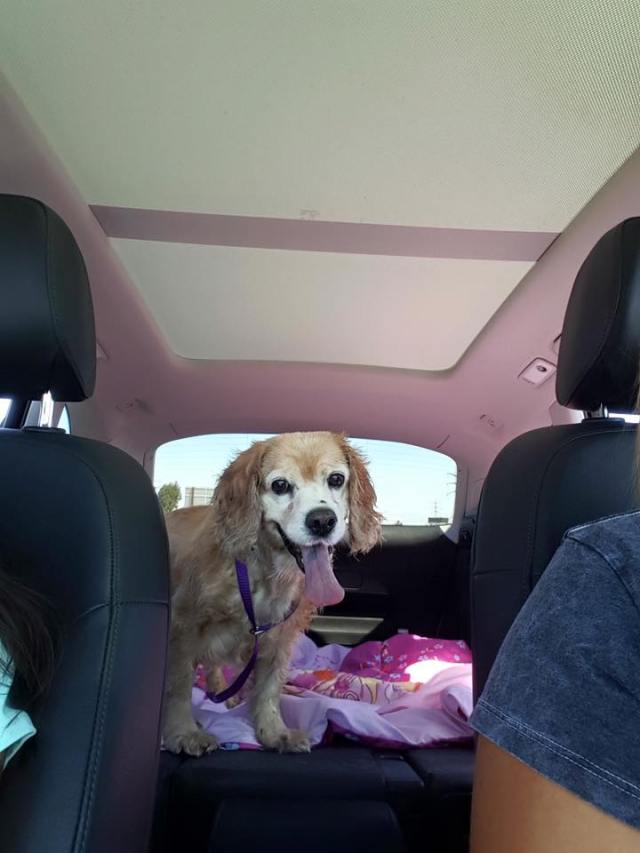 Cindy's freedom photo