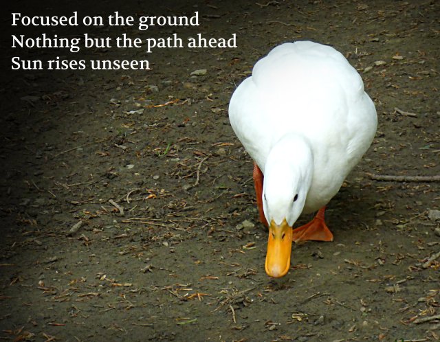 Focused on the ground Nothing but the path ahead Sun rises unseen