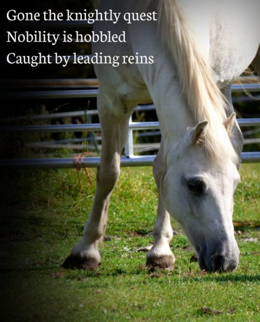 Gone the knightly quest Nobility is hobbled Caught by leading reins
