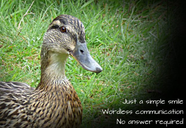 Just a simple smile Wordless communication No answer required