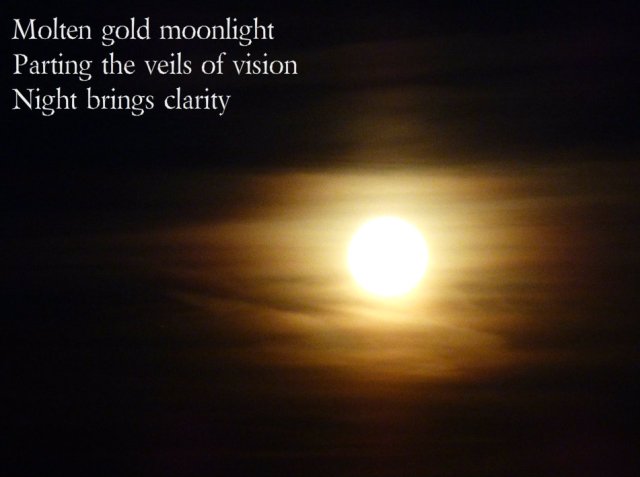 Molten gold moonlight Parting the veils of vision Night brings clarity
