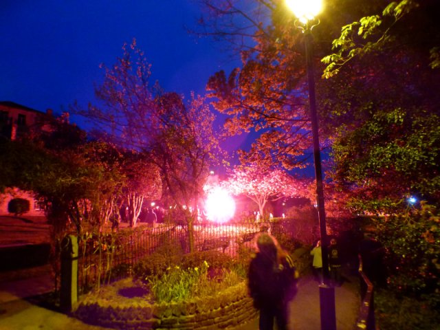 Nick fox weekend barbrook 090