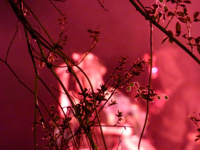 Nick fox weekend barbrook 093