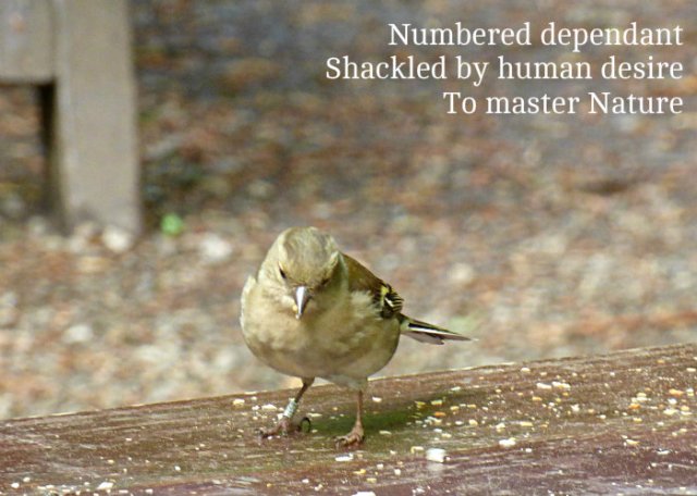 Numbered dependant Shackled by human desire To master Nature