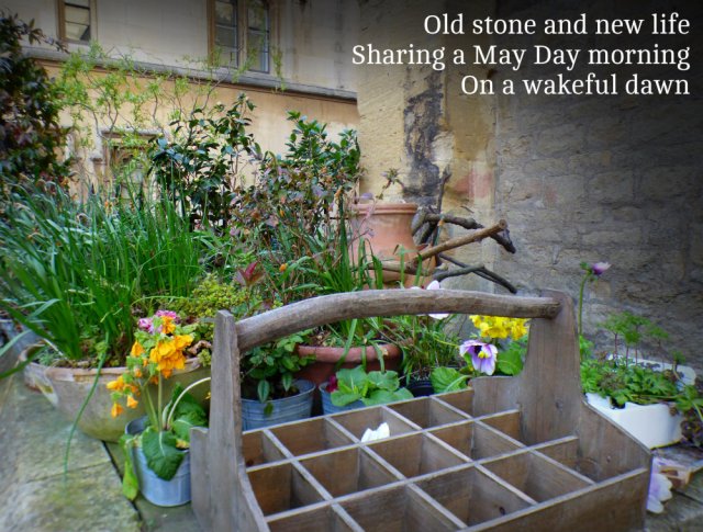 Old stone and new life Sharing a May Day morning On a wakeful dawn