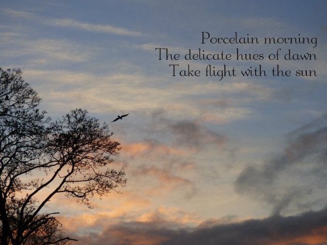 Porcelain morning The delicate hues of dawn Take flight with the sun
