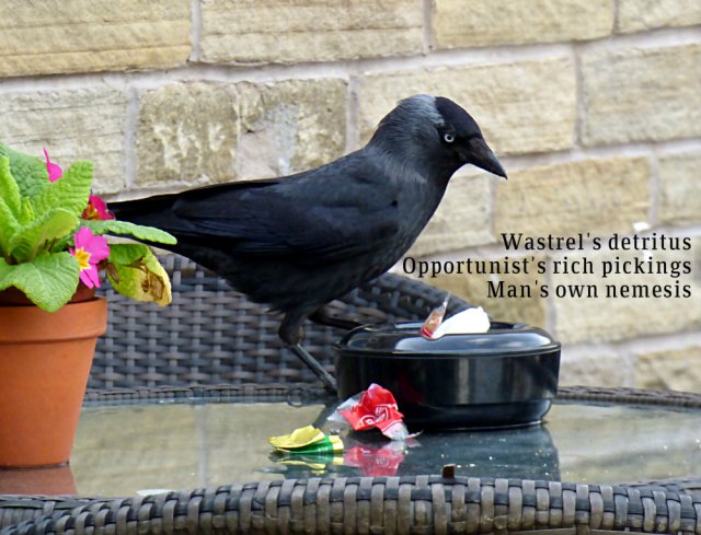 Wastrel's detritus Opportunist's rich pickings Man's own nemesis