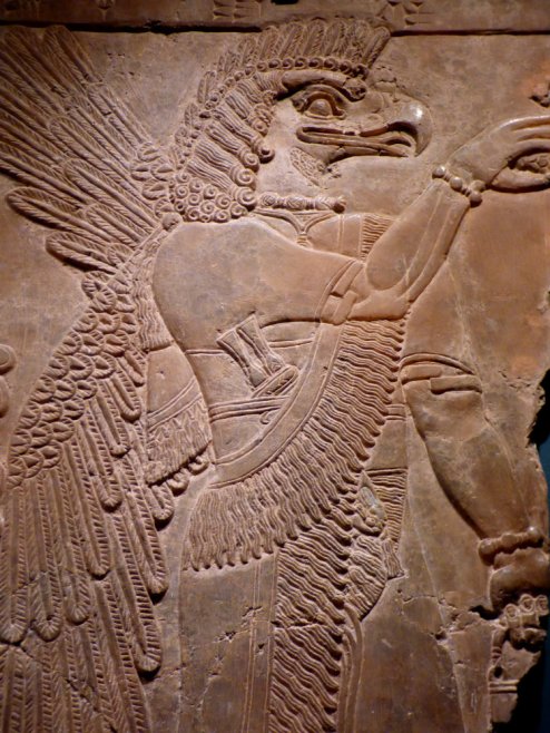 workshop oxford bluebells 129