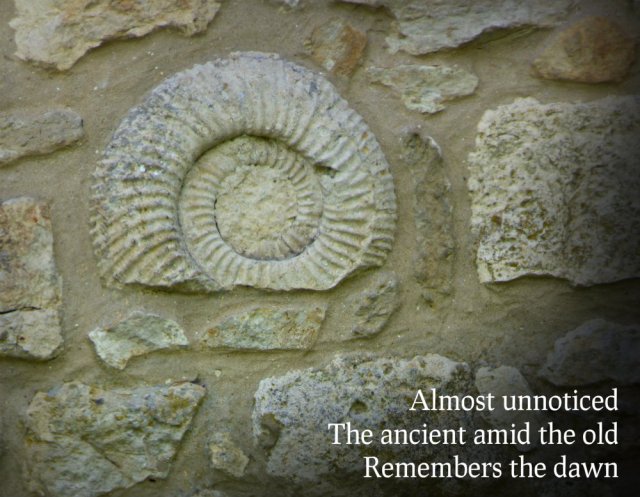 Almost unnoticed The ancient amid the old Remembers the dawn