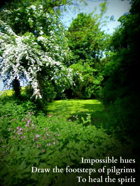 Impossible hues Draw the footsteps of pilgrims To heal the spirit