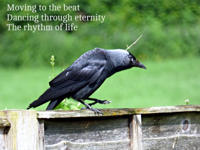Moving to the beat Dancing through eternity The rhythm of life