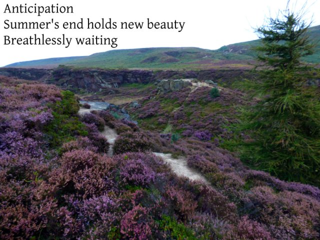 Anticipation Summer's end holds new beauty Breathlessly waiting