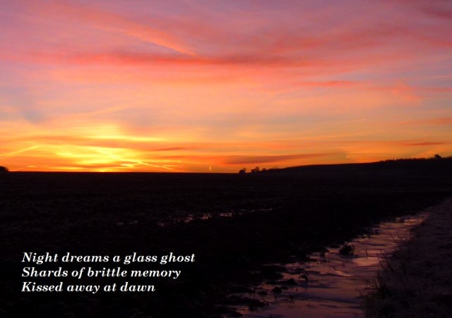 night dreams a glass ghost, shards of brittle memory kissed away at dawn