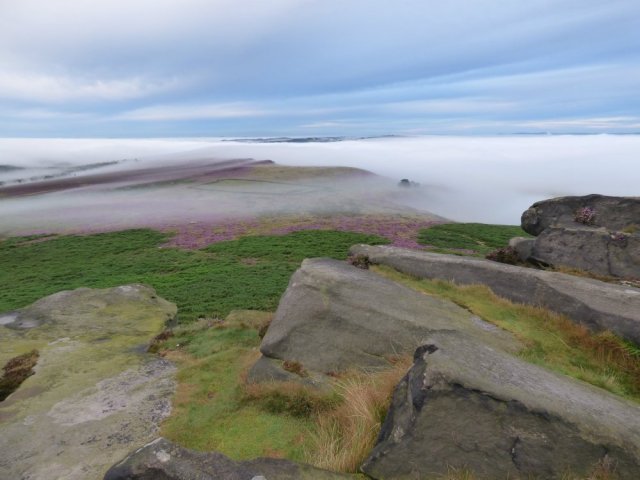 heather 2015 derbyshire, higger tor, beeley circle, edensor, bak 045