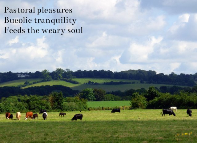 pastoral pleasures bucolic tranquility feeds the weary soul