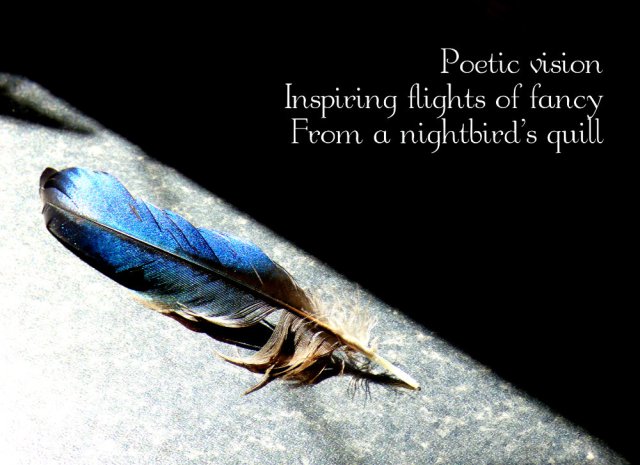 Poetic vision Inspiring  flights of fancy From a nightbird's quill