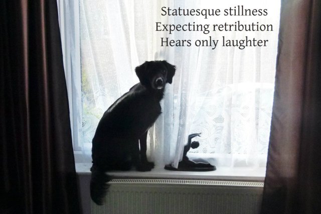 Statuesque stillness Expecting retribution Hears only laughter
