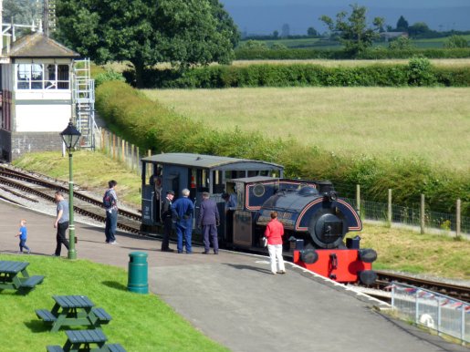 steam train ani birds 008