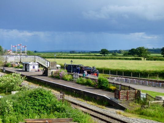steam train ani birds 012