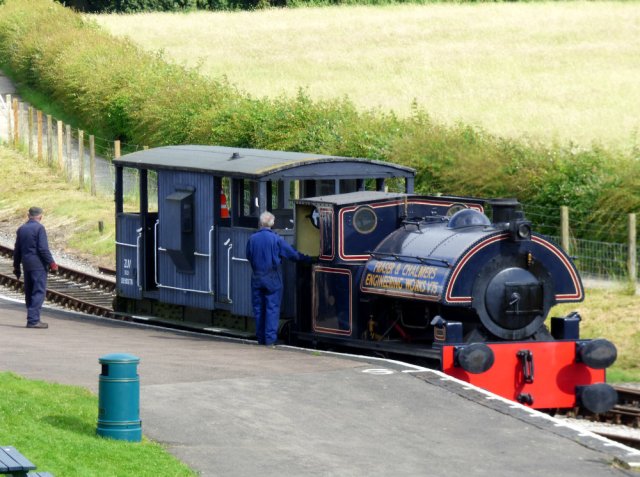 steam train ani birds 014