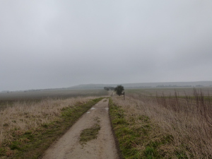 uffington and rollright 060