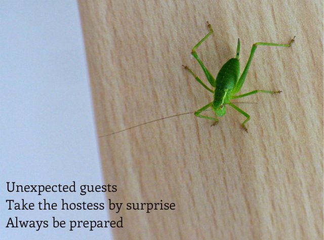 Unexpected guests Take the hostess by surprise Always be prepared