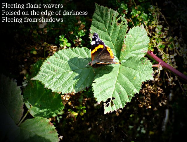 Fleeting flame wavers Poised on the edge of darkness Fleeing from shadows