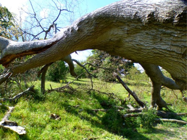 hill of vision II 139