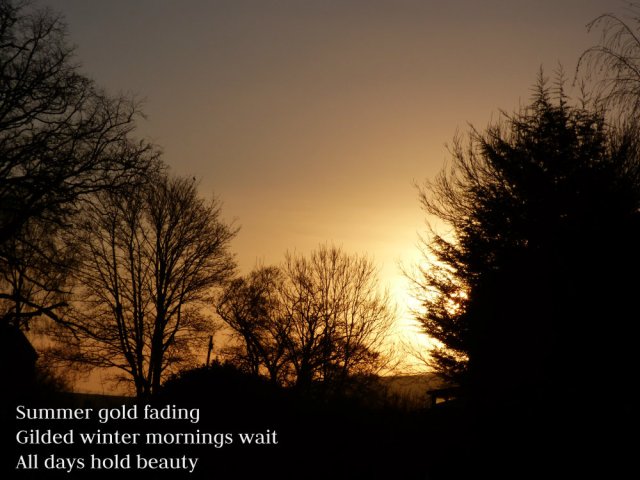 Summer gold fading Gilded winter mornings wait All days hold beauty