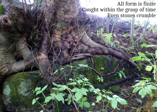 all-form-is-finite-caught-within-the-grasp-of-time-even-stones-crumble