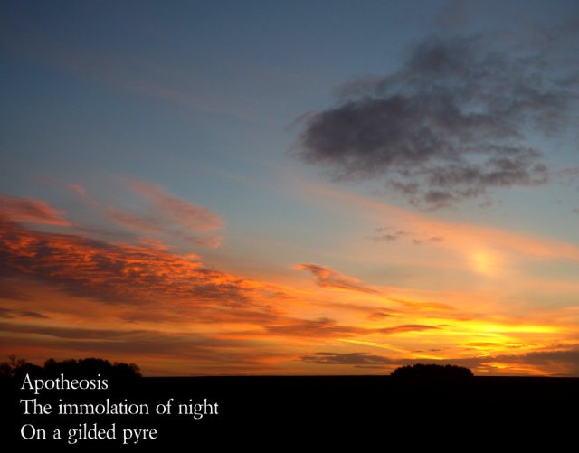 apotheosis-the-immolation-of-night-on-a-gilded-pyre