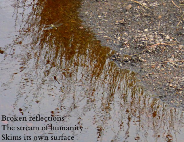broken-reflections-the-stream-of-humanity-skims-its-own-surface