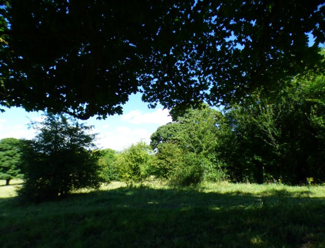 hill of vision II 018