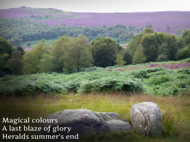 magical-colours-a-last-blaze-of-glory-heralds-summers-end