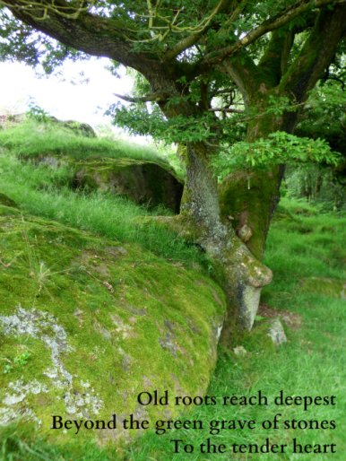 old-roots-reach-deepest-beyond-the-green-grave-of-stones-to-the-tender-heart