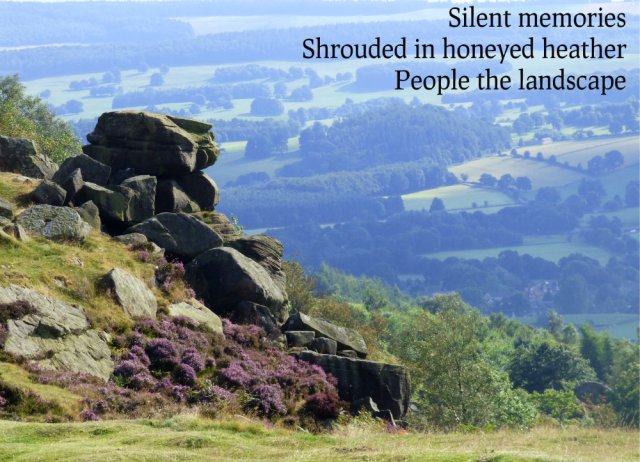 silent-memories-shrouded-in-honeyed-heather-people-the-landscape