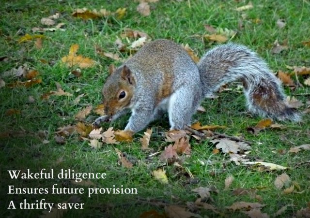 wakeful-diligence-ensures-future-provision-a-thrifty-saver