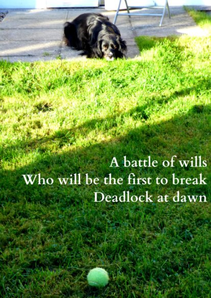 a-battle-of-wills-who-will-be-the-first-to-break-deadlock-at-dawn